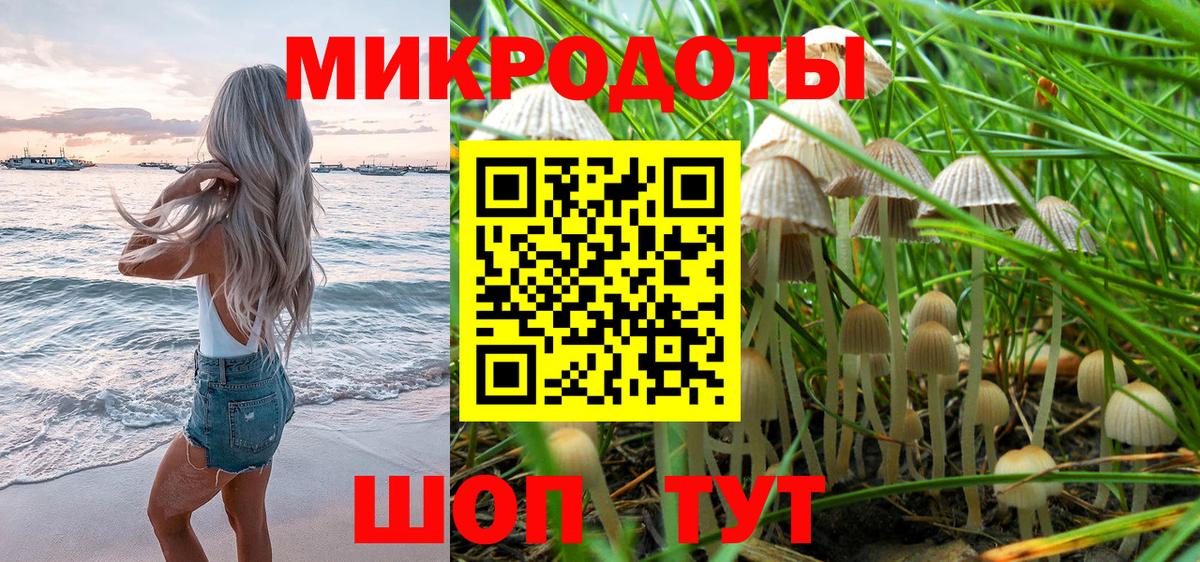 Пенза  Псилоцибиновые грибы Psilocybe  Вход с VPN 